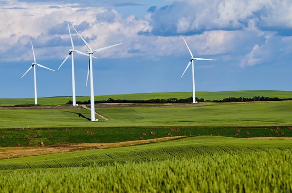 The future of green energy in business operations